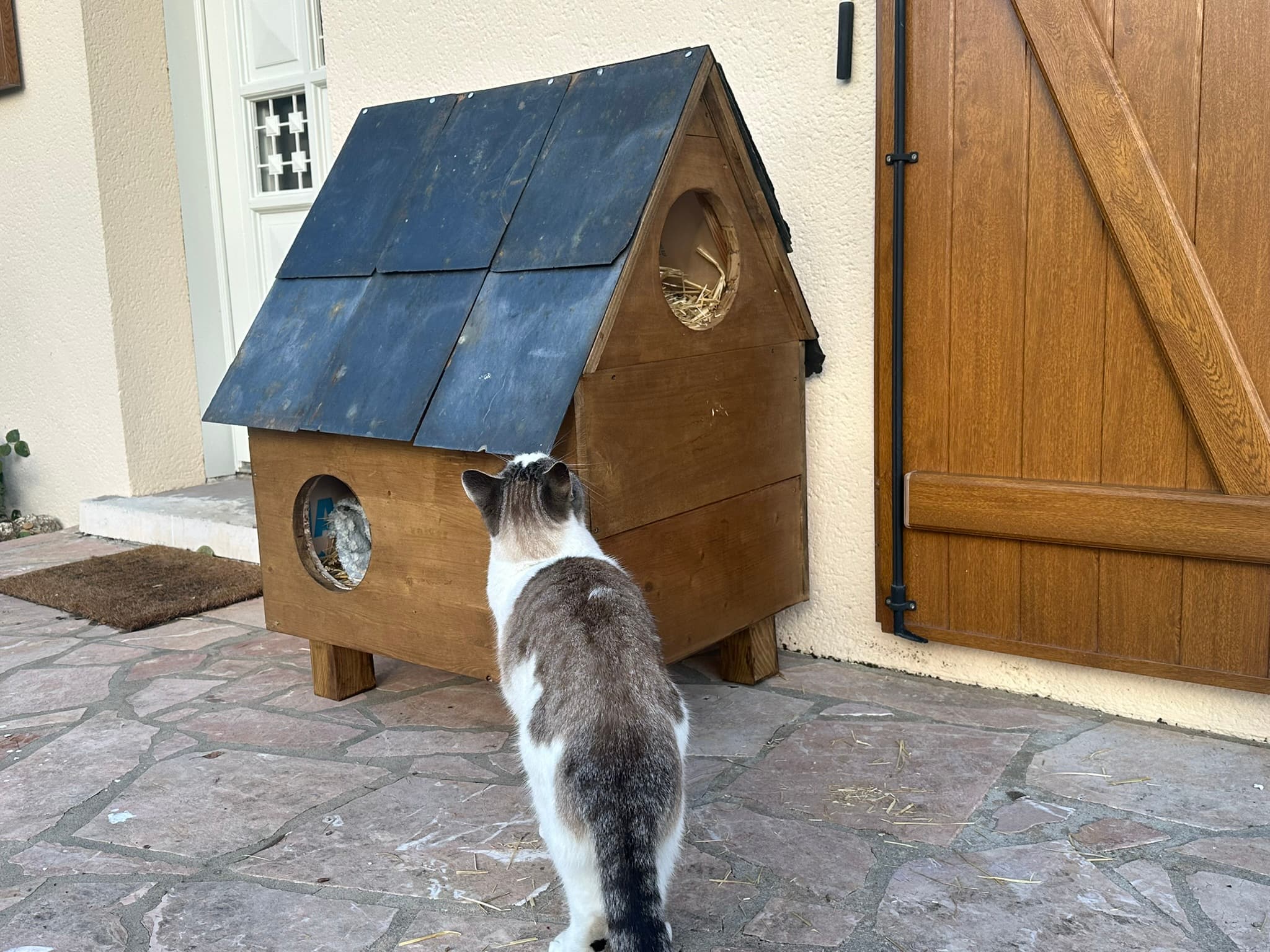 Niche pour chats en bois